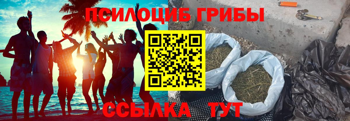 Галлюциногенные грибы MAGIC MUSHROOMS Осинники